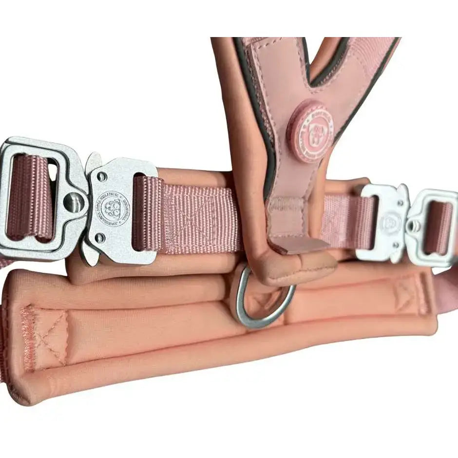 Pastel pink 2.5cm btactical slip on harness with pink leather and silver strategic d ring buckle design