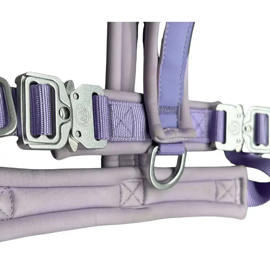 Pastel purple 2.5cm btactical slip on harness with silver metal buckles and d ring made of nylon