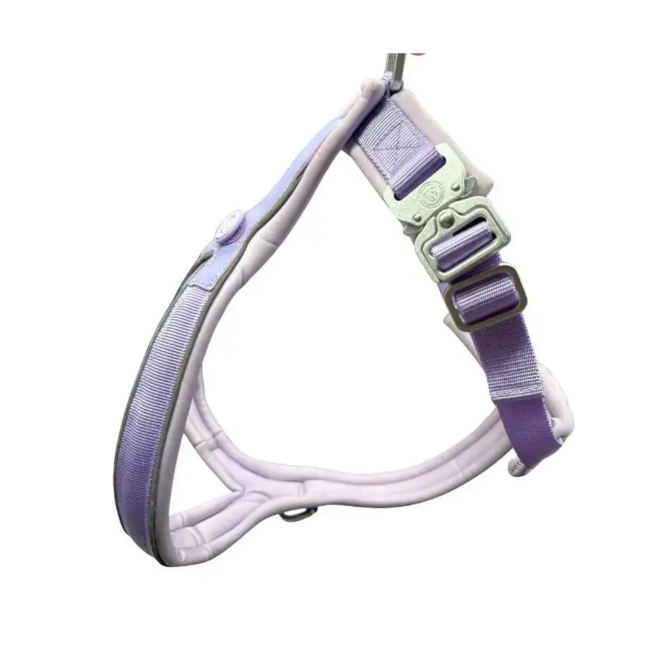 Pastel purple 2.5cm btactical slip on harness with adjustable straps and metal buckles slip-on design makes it easy