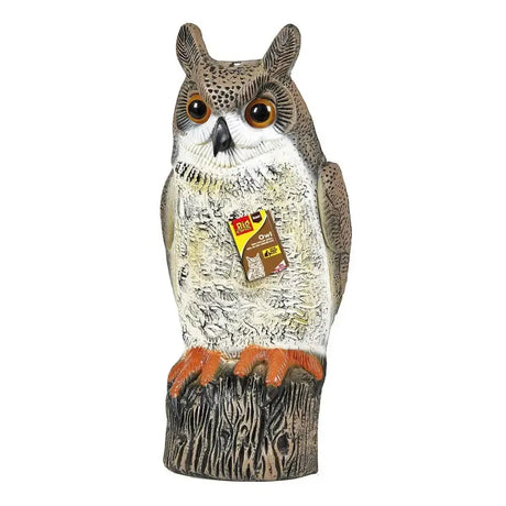 The Big Cheese Owl Pest Control