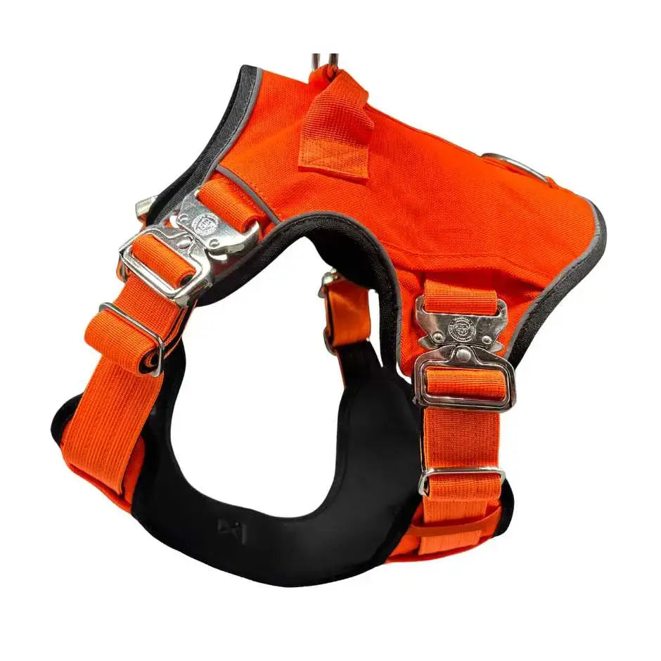 Bright orange ultimate btactical harness with black padded lining silver buckles and hidden tracker pocket for dogs