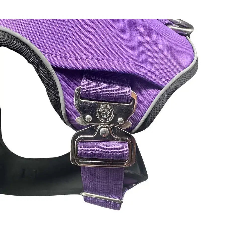 Purple dog harness with black and gray trim and silver buckle featuring the ultimate btactical harness design