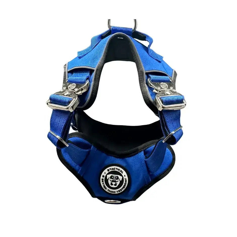 Blue tactical dog harness with black padded interior silver buckles featuring hidden tracker pocket and body support