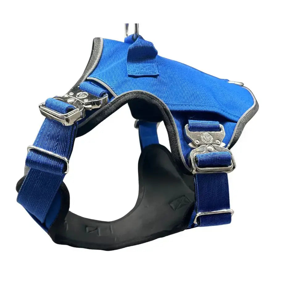 Royal blue ultimate btactical harness with silver buckles black padded underbelly and hidden tracker pocket for body support