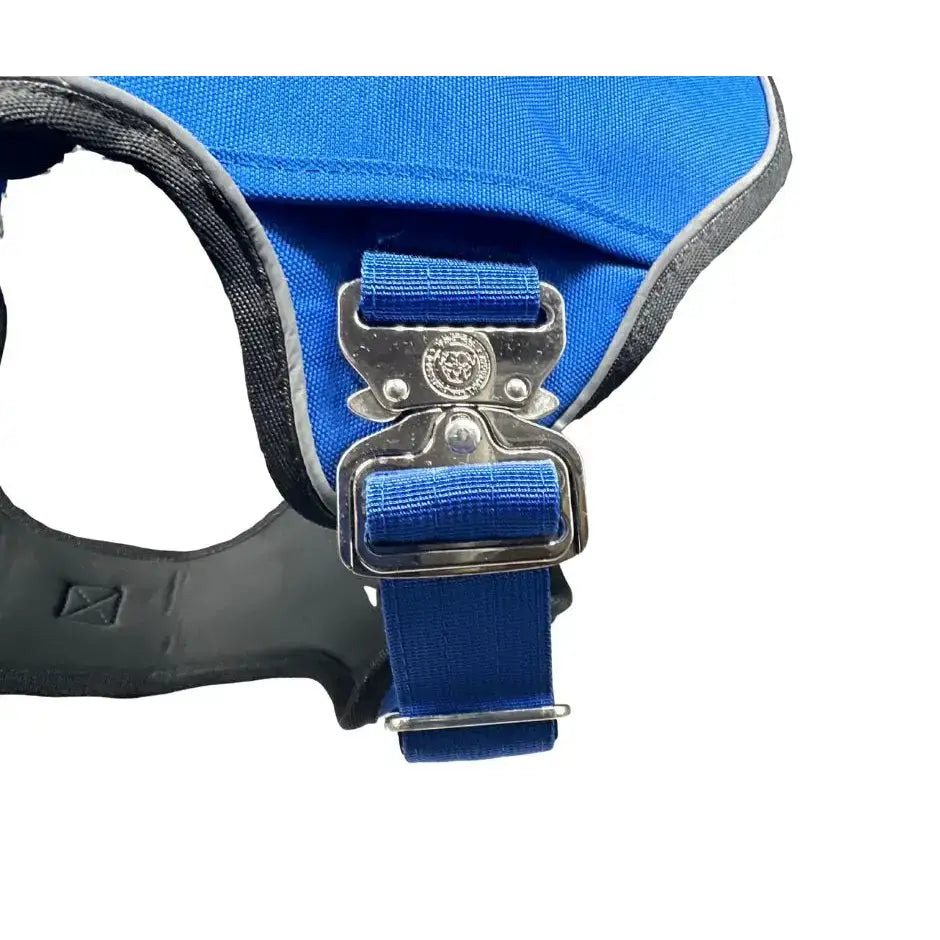 Blue dog harness with black gray trim and silver buckle featuring ultimate btactical harness and body support