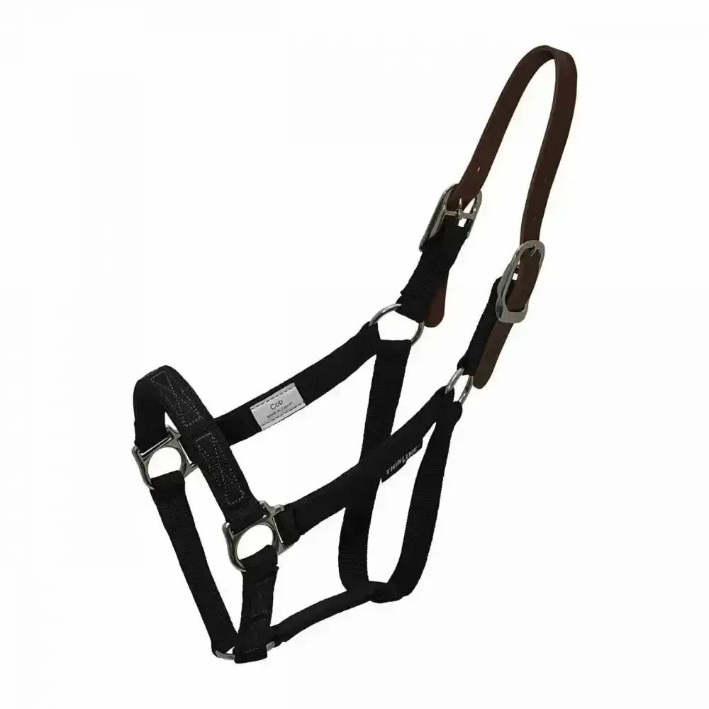 Black leather thinline flexible breakaway field safe headcollar with silver hardware and adjustable straps