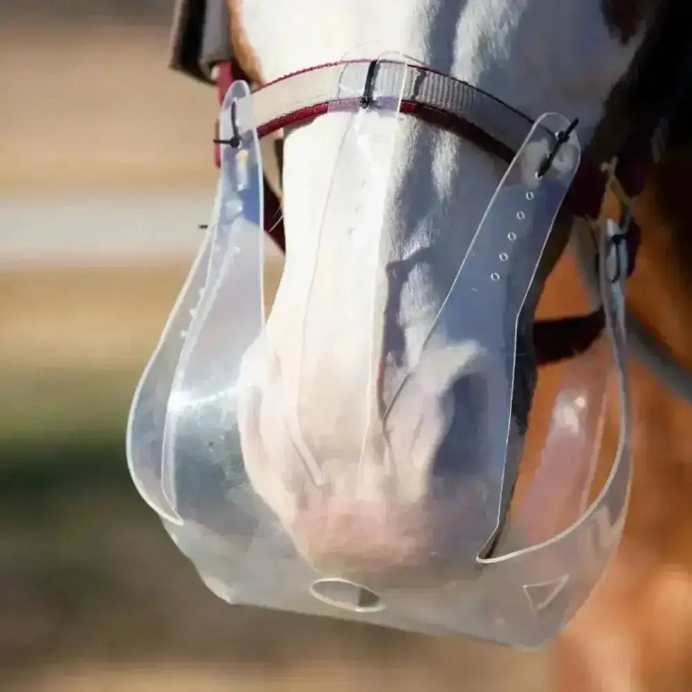 Clear plastic thinline flexible grazing muzzle with adjustable gray strap and red accent for managing grass intake