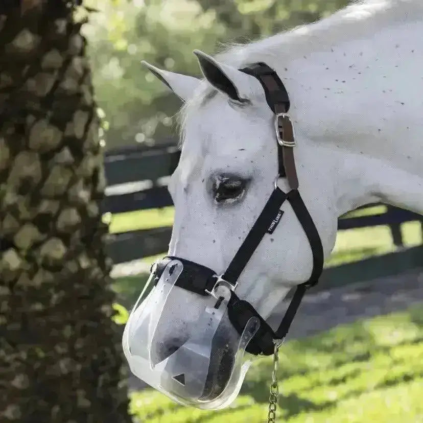 Clear plastic muzzle with black straps and metal buckles shown with thinline padded halter liners and bridle wraps set