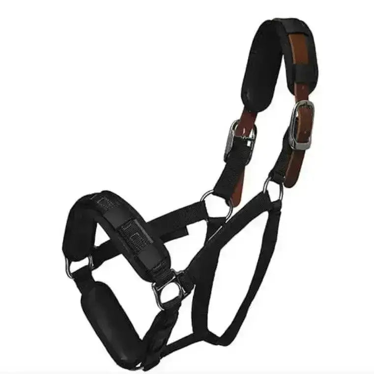 Black and brown leather thinline padded halter with fleece halter bridle wraps and metal buckles in 3 piece set