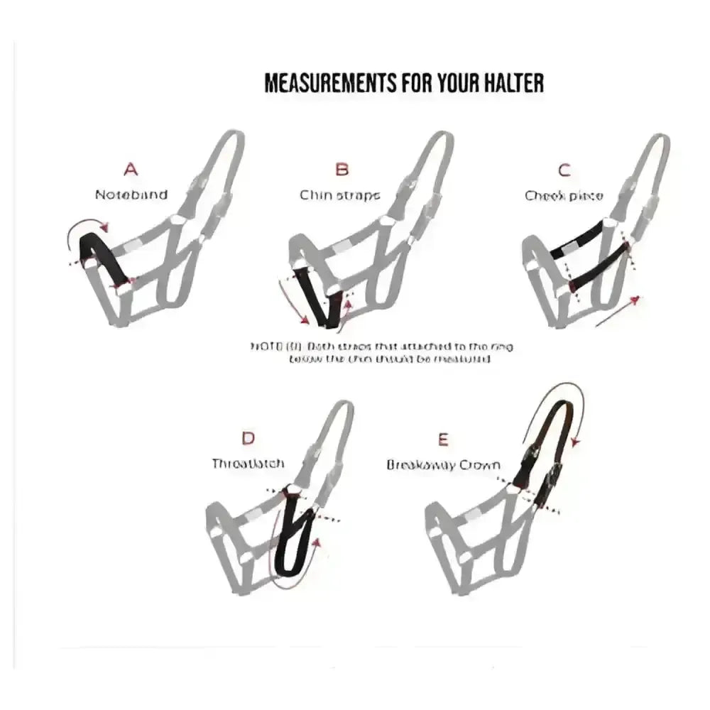 ThinLine Replacement Breakaway Halter Piece Pony / Cob Grazing Muzzle