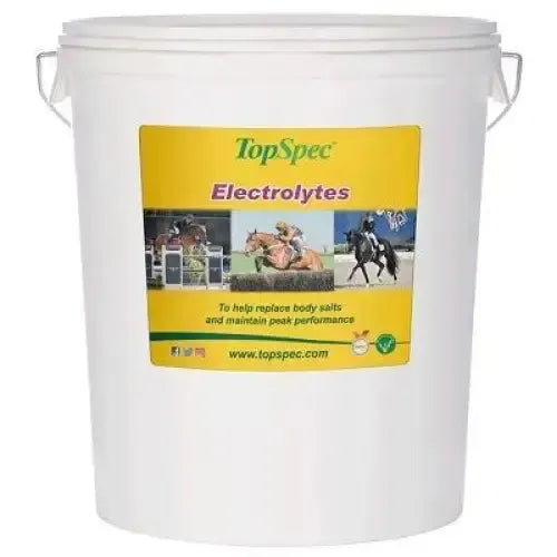 TopSpec Electrolytes Horse Supplement 1.5kg Horse Electrolytes