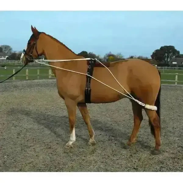 Training Lunging System Rope and Roller By Rhinegold Cob Lunging Systems