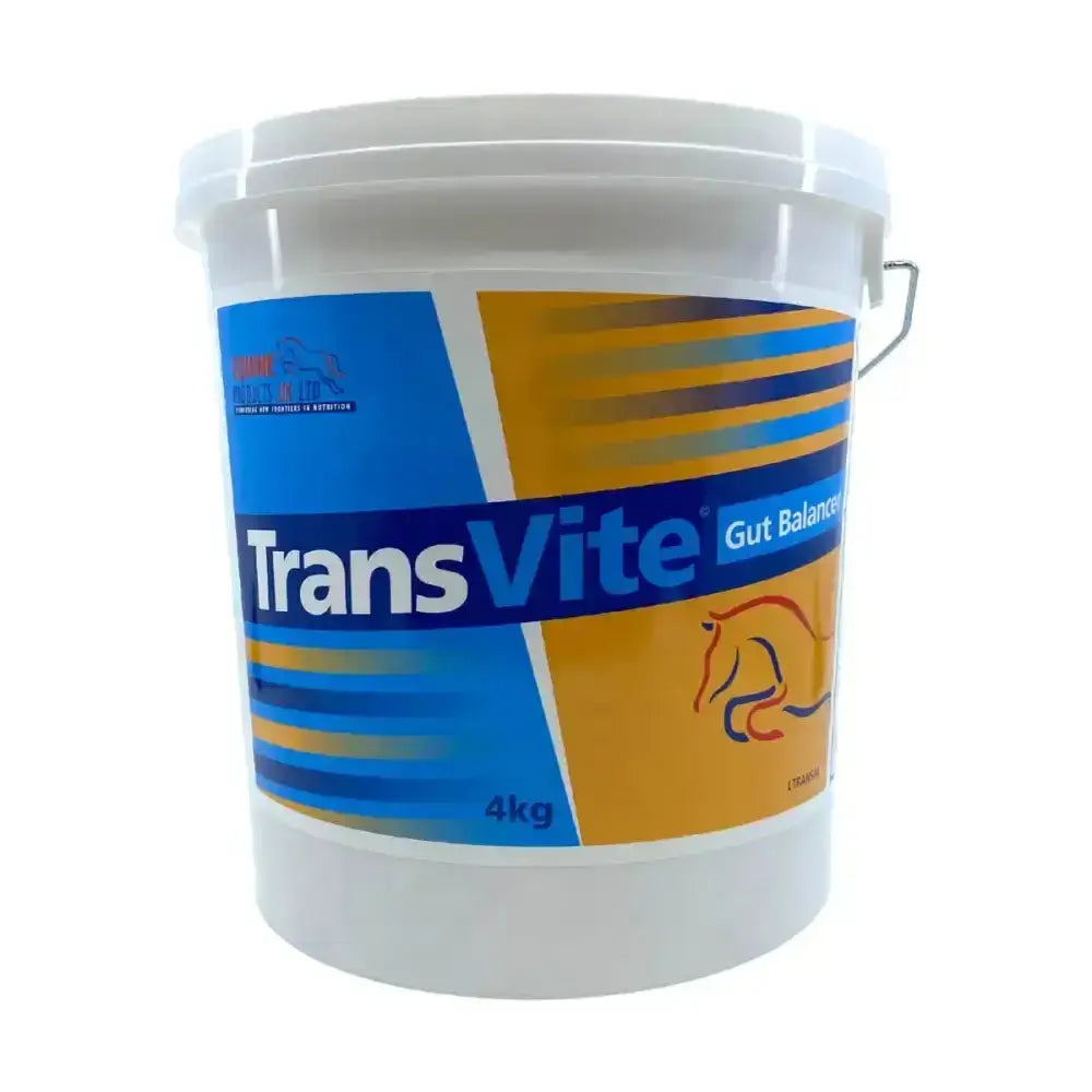 White plastic bucket of transvite gut balancer combined probiotic prebiotic powder for horse digestive gut balancers 4kg