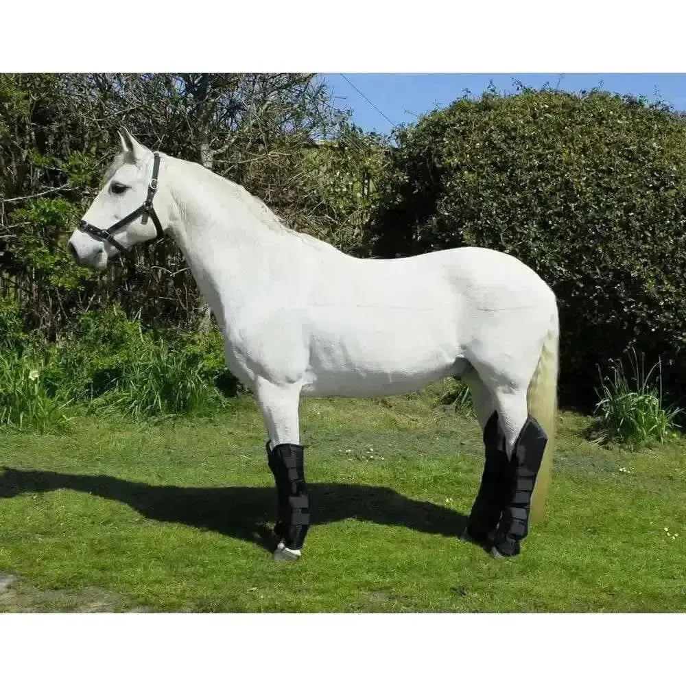 Travel Boots Rhinegold Full Length Black Pony Horse Travel Boots