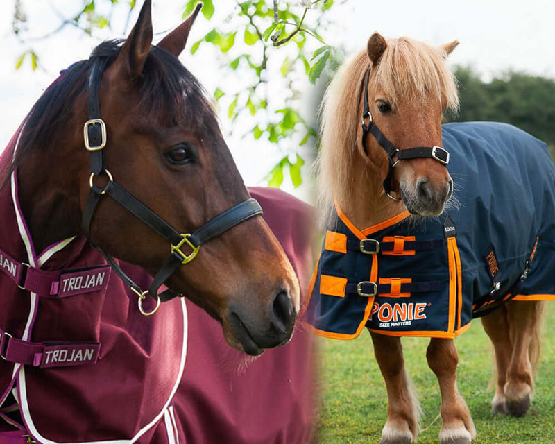 Horse Rugs - Turnout Rugs for all season with a huge range in stock for immediate despatch or collection from our North Devon Tack Shop.  From Combo Turnout Rugs to Standard Neck Turnout Rugs.  Turnout Rugs from Gallop, Rhinegold, Sheldon and Weatherbeeta