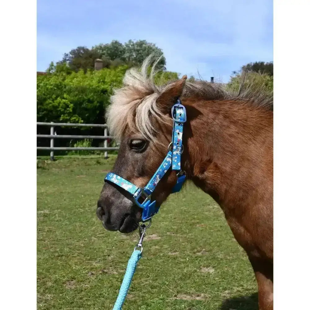 Blue patterned unicorn headcollar set with matching leadrope set perfect for a cute unicorn headcollar look