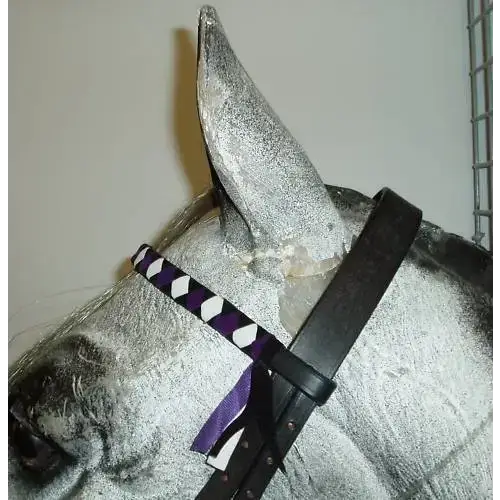 Velvet Browbands Pony (36cm) BLACK/PURPLE/WHITE