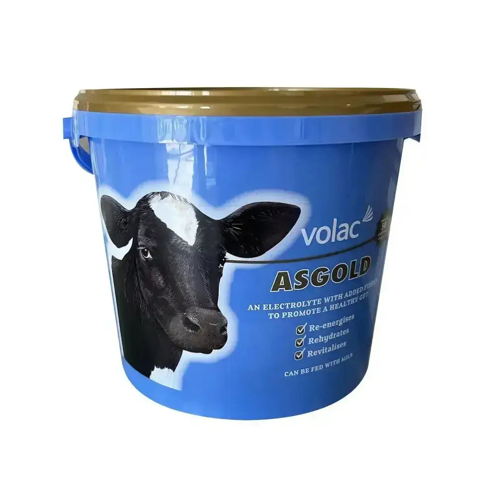 Blue plastic bucket with gold lid and handle showing black and white cow for volac asgold cattle supplements and electrolyte balance