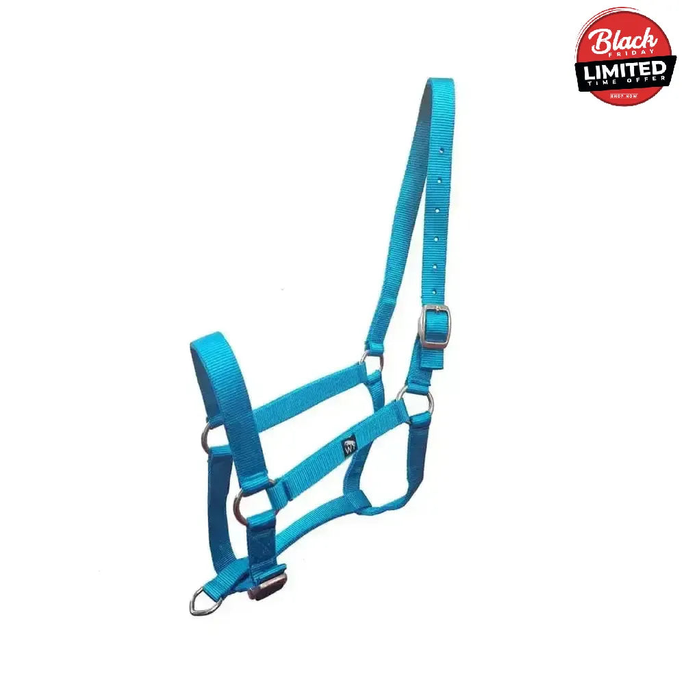 W-Horse Harvey Headcollar Turquoise Full Turquoise Headcollars