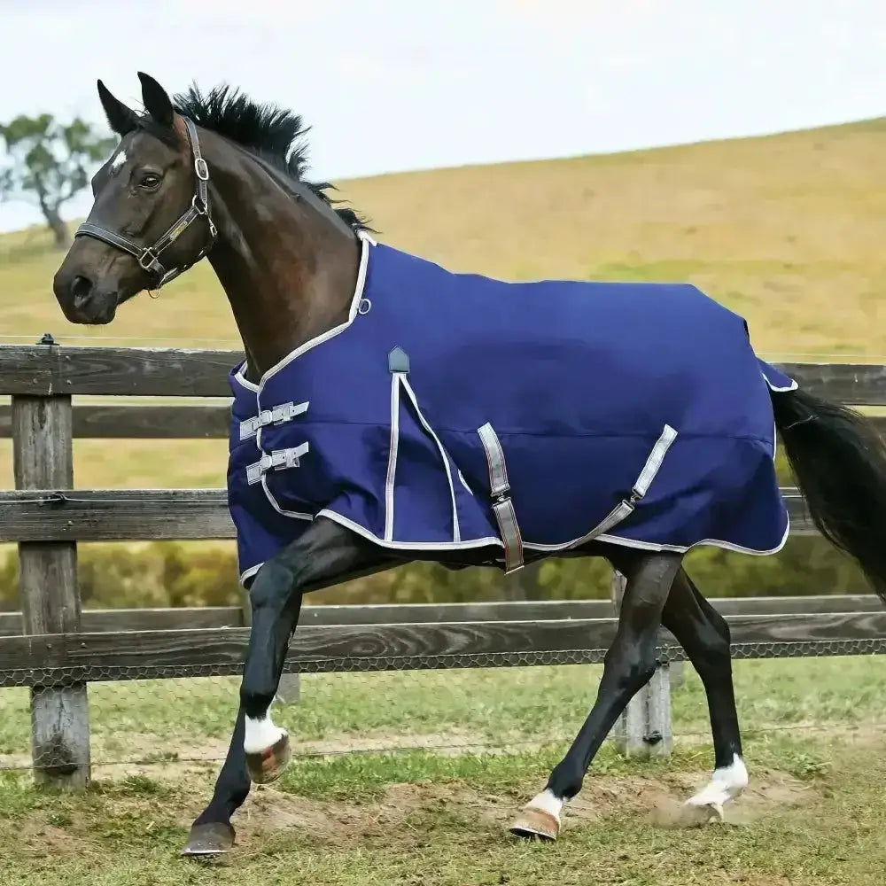A navy blue weatherbeeta horse rugs comfitec essential standard neck turnout blanket with white trim and silver buckles