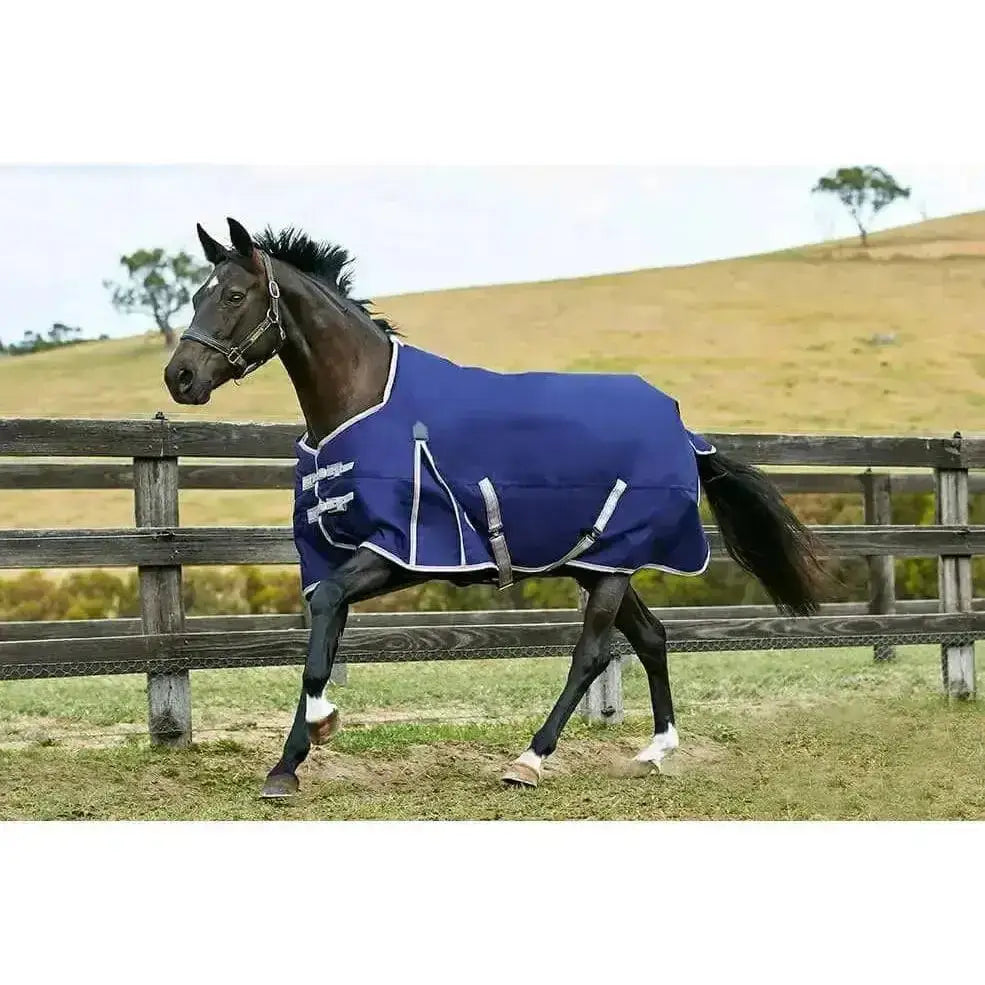 Navy blue weatherbeeta comfitec essential 50g lite horse rug with white trim and silver buckles for durable turnout use
