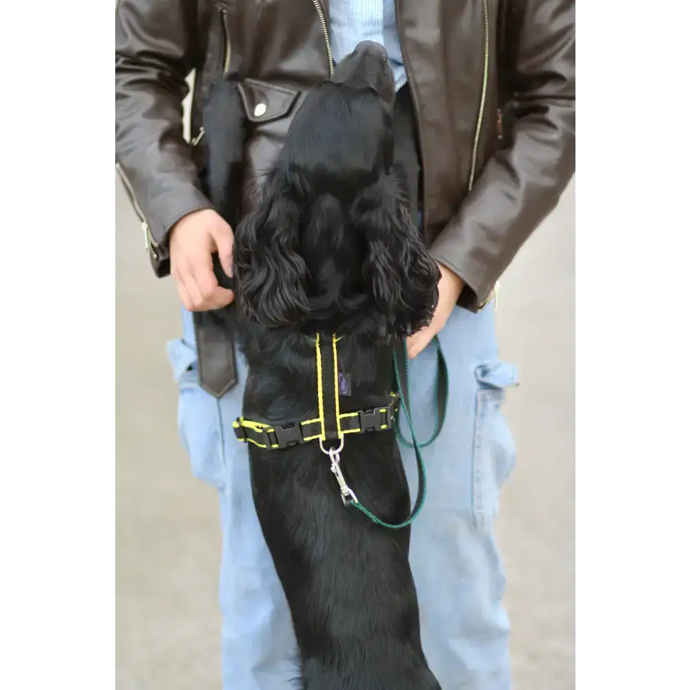Webbing Dog Harness Small Red