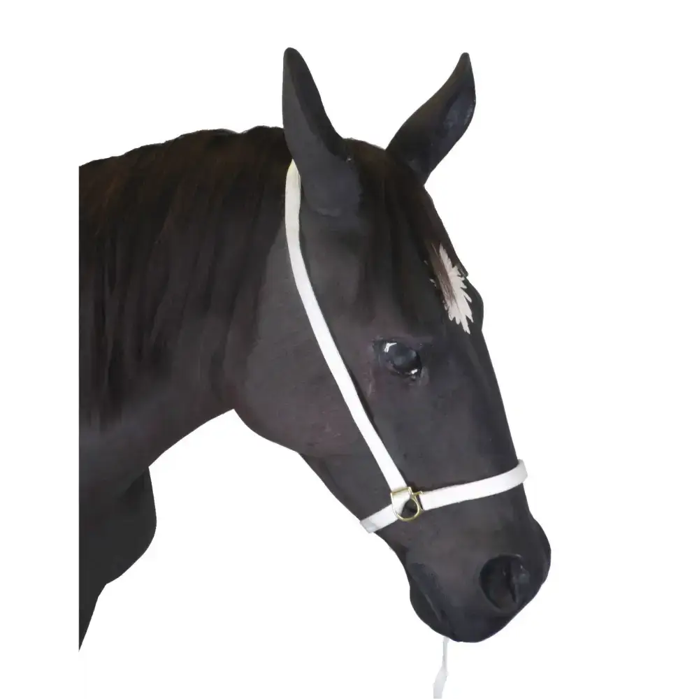 Webbing Show Halter 8" Nose