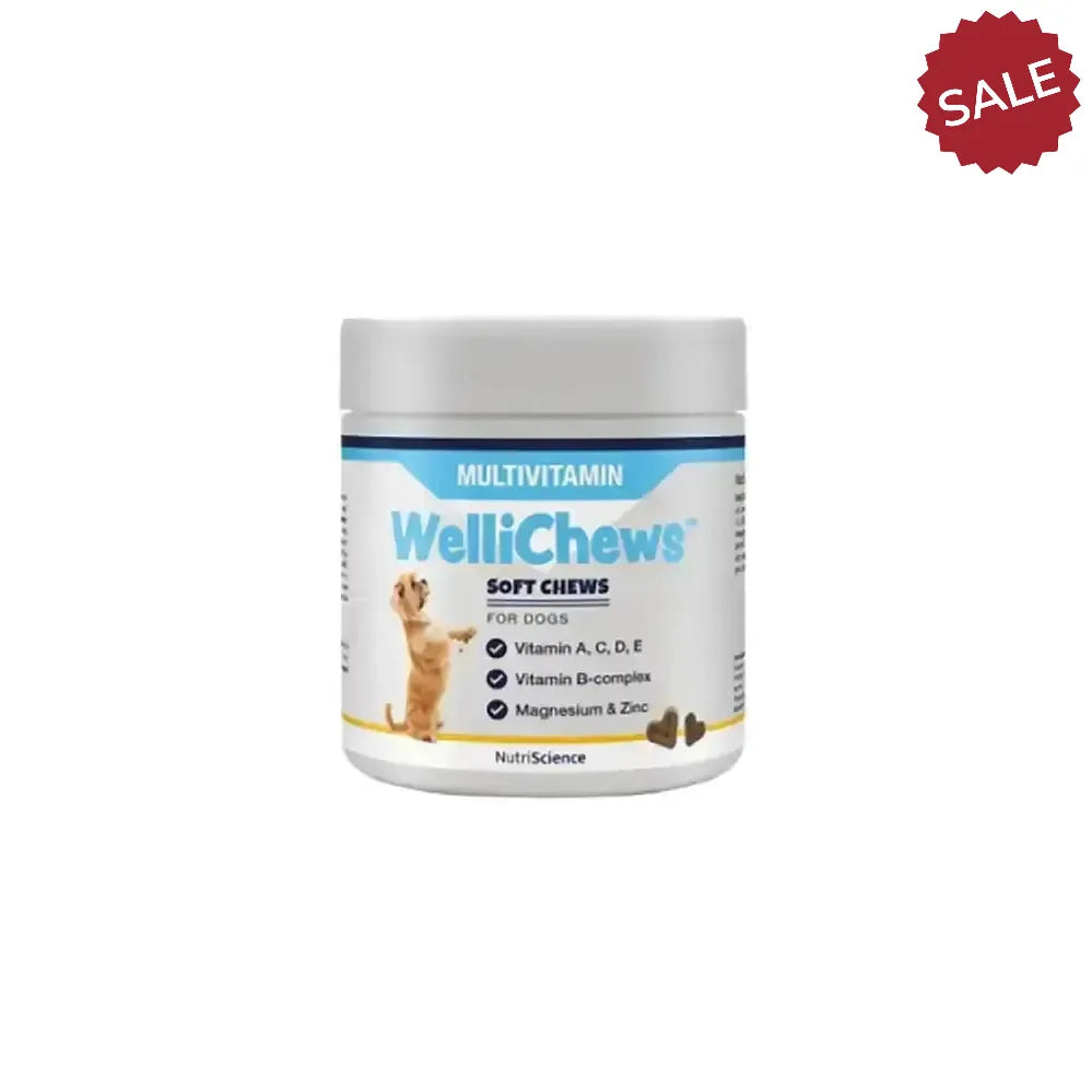Wellichews Multivitamin Soft Chews 150 Pieces Pet Supplements