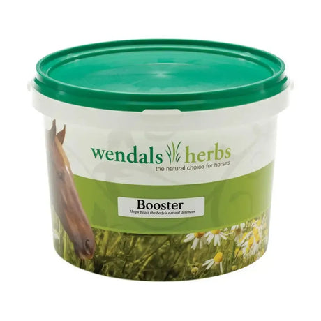 Wendals Booster 1kg Horse Supplements