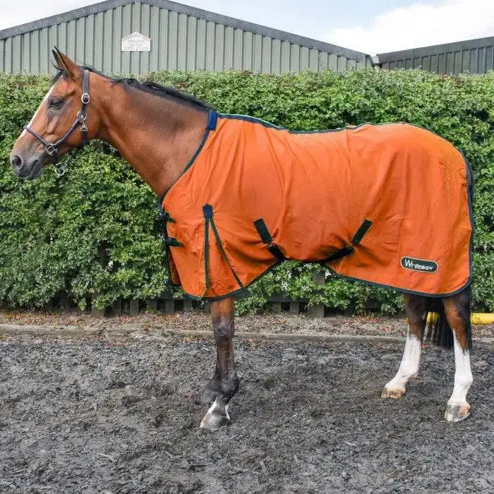 Orange whitaker allerton cotton horse blanket with black trim and adjustable straps lightweight summer sheet