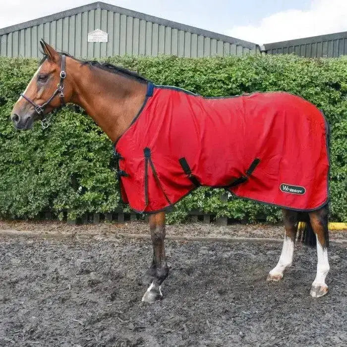 Red horse blanket with black straps and logo designed as a lightweight summer sheet from whitaker allerton cotton