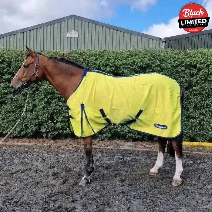 Whitaker Allerton Cotton Sheet 4'9" Orange Cooler Rugs