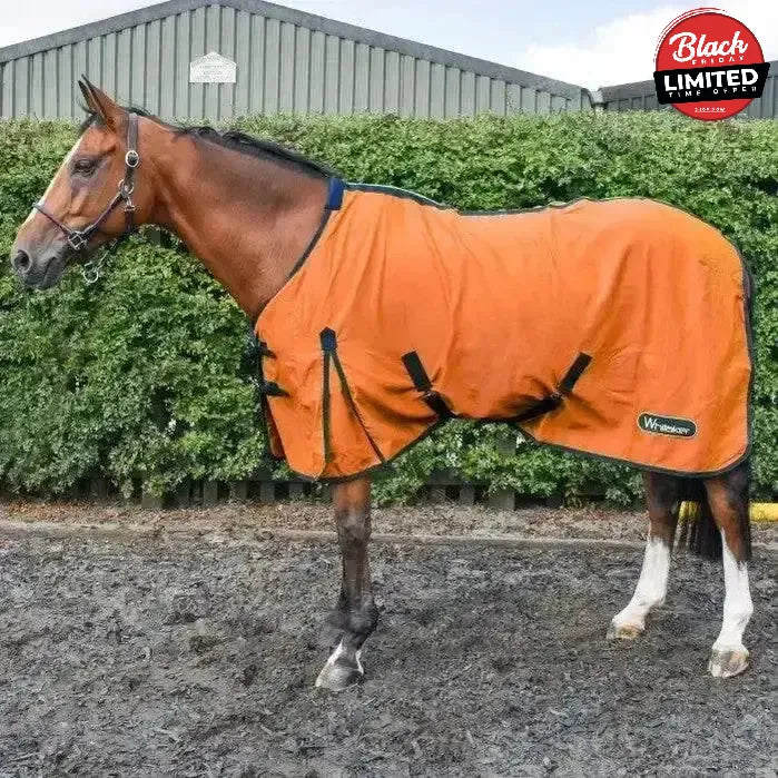 Whitaker Allerton Cotton Sheet 4'9" Orange Cooler Rugs