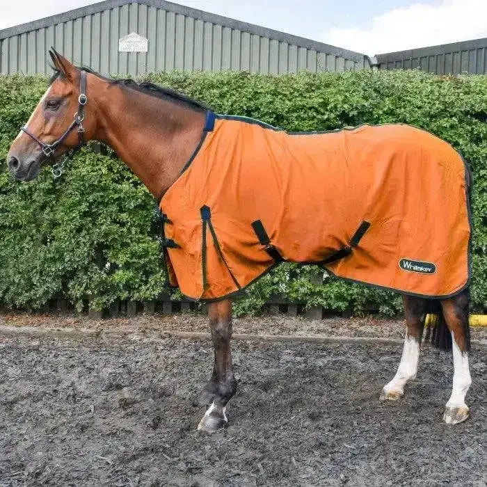 Bright orange whisker brand horse blanket with black straps and trim paired with whitaker allerton cotton lightweight summer sheet