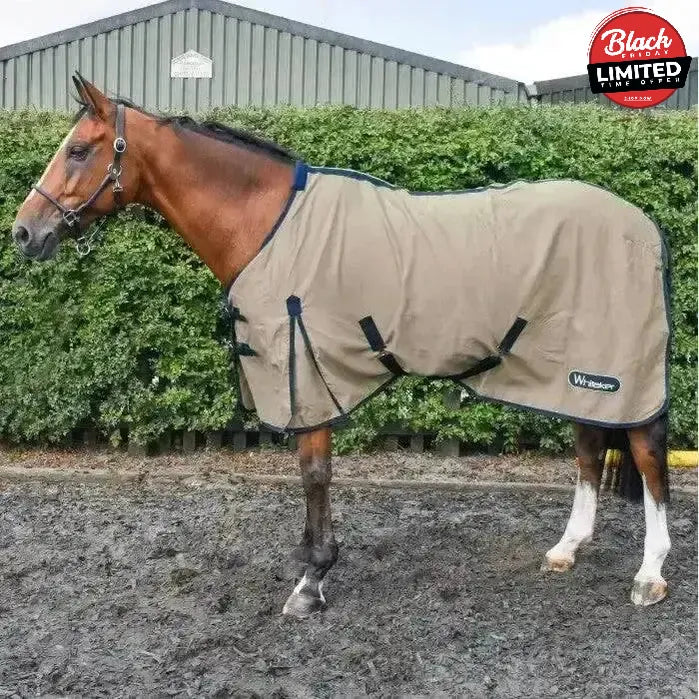 Whitaker Allerton Cotton Sheet 4'9" Orange Cooler Rugs