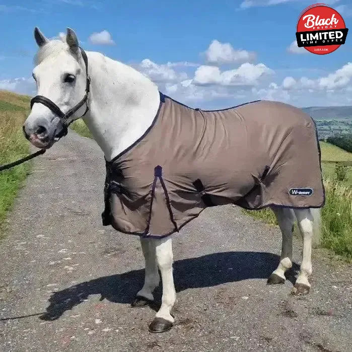 Whitaker Allerton Cotton Sheet 4'9" Orange Cooler Rugs