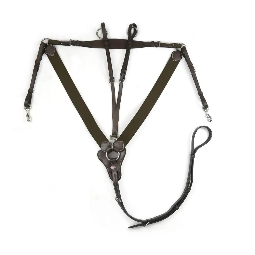 Dark brown leather whitaker bp048av eastwood elasticated breastplate havana with adjustable straps and metal hardware