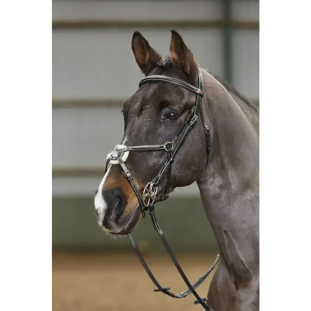 Whitaker Bp052 Valencia 5 Point Breastplate Black Cob Black 5 Point Breastplates