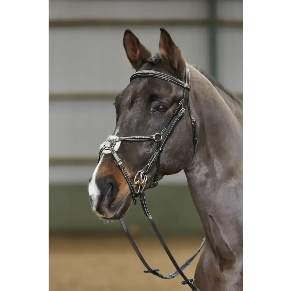 Whitaker Bp052 Valencia 5 Point Breastplate Black Cob Black 5 Point Breastplates