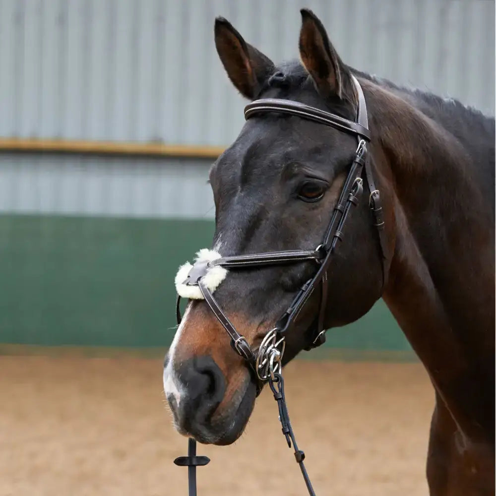 Black leather eastwood mexican bridle with silver hardware white fleece noseband and reins havana from whitaker br050a eastwood