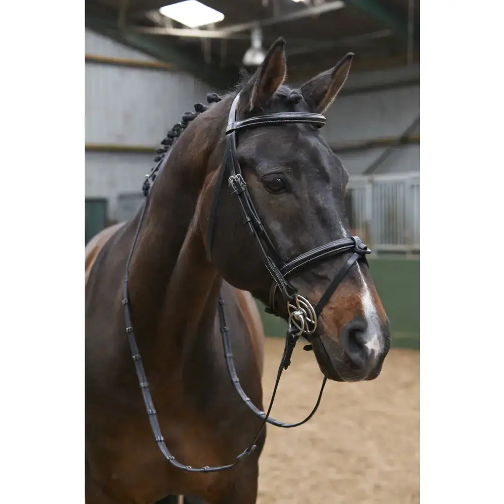 Black leather whitaker br051a eastwood raised flash bridle with silver hardware and reins in classic equestrian style