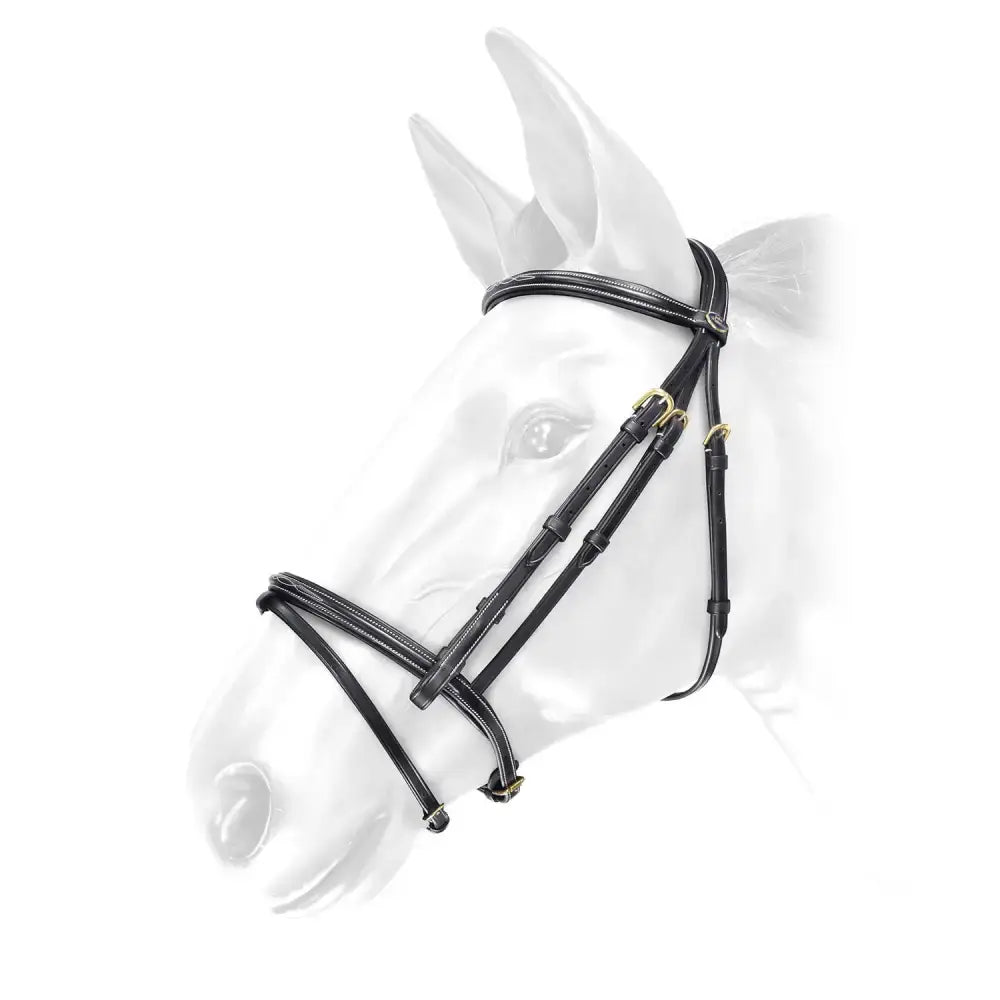 Black leather deluxe flash bridle whitaker br052 valencia with gold buckles and reins black