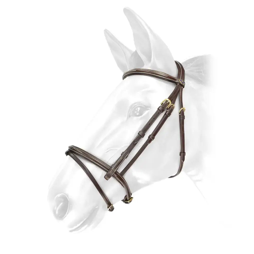 Brown leather deluxe flash bridle whitaker br052 valencia with gold hardware and reins havana for riding comfort