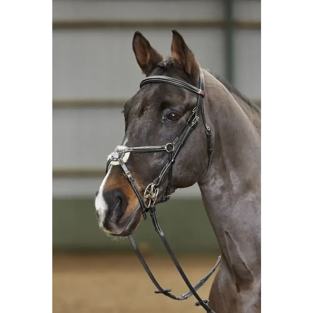 Whitaker Br052 Valencia Deluxe Mexican Brdle C/W Reins Black Cob Black Grackle Bridles