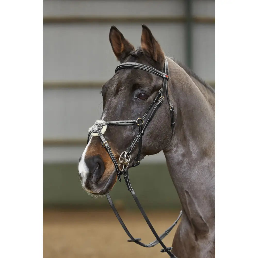 Black leather whitaker br052 valencia deluxe mexican bridle with silver hardware and red browband accent with reins black