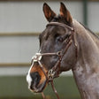 Whitaker Br052 Valencia Deluxexican Bridle Havana Cob Light Havana Grackle Bridles