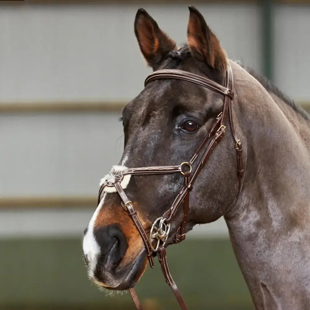 Brown leather whitaker br052 valencia deluxexican havana bridle with silver hardware and white decorative noseband