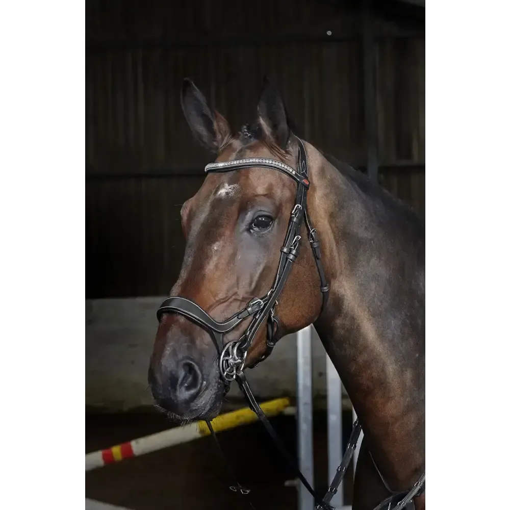 Whitaker Br070 Chicago Anatomic Bridle C/W Reins Black Cob Black Flash Bridles