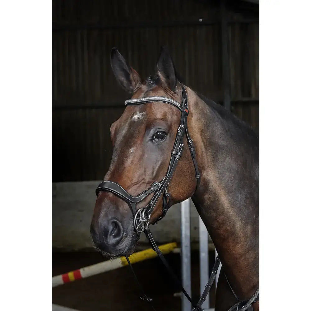 A sleek black leather whitaker br070 chicago anatomic bridle with sparkling silver browband and reins black