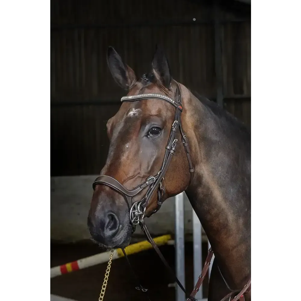 Whitaker Br070 Chicago Anatomic Bridle C/W Reins Havana Cob Light Havana Flash Bridles